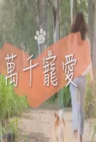 万千宠爱 第07期